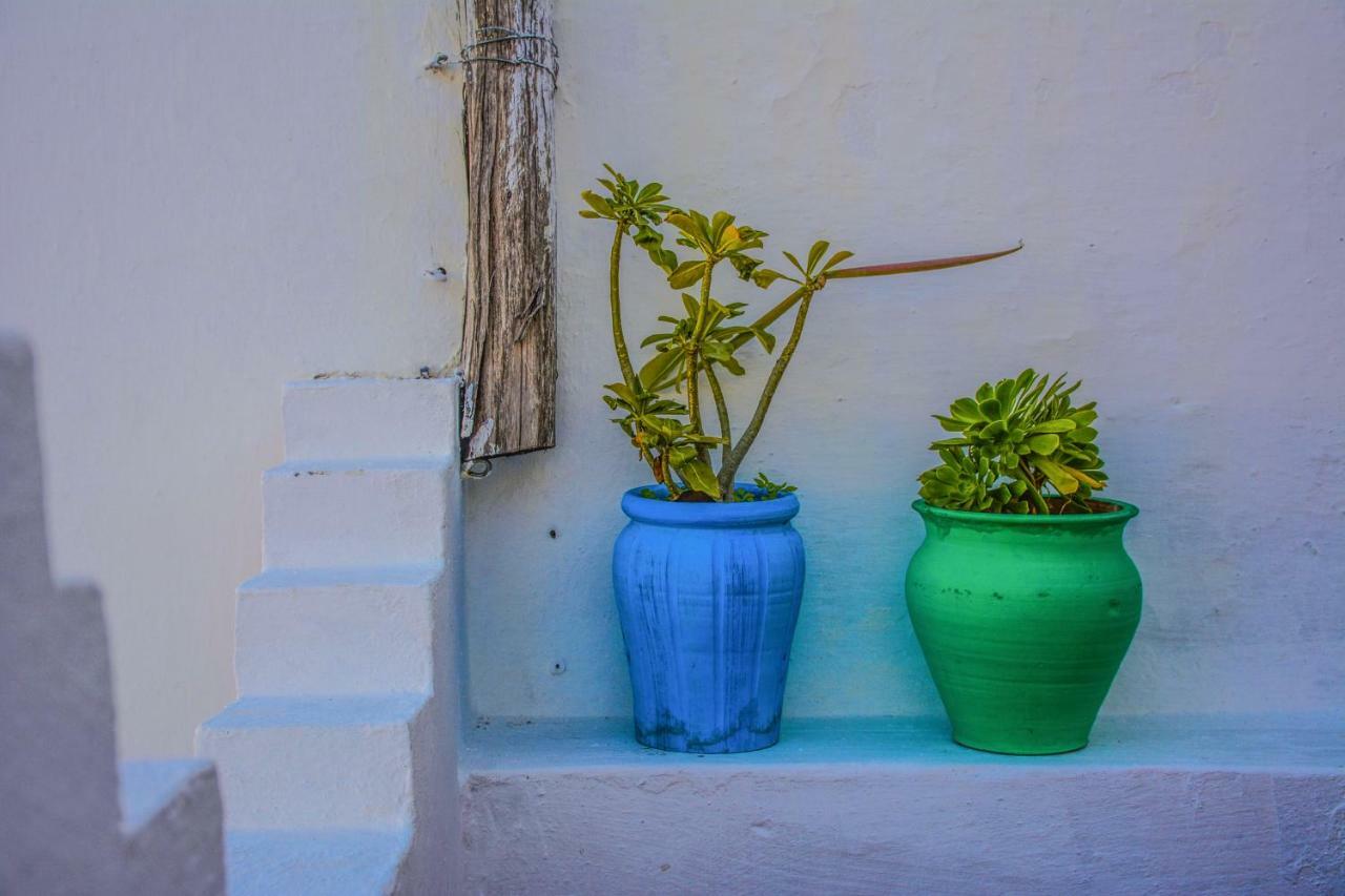 Riad Dari Tétouan Dış mekan fotoğraf
